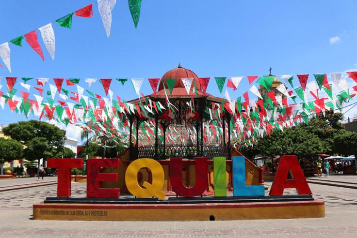 From Field to Glass: Tasting the Real Tequila Where It’s Made